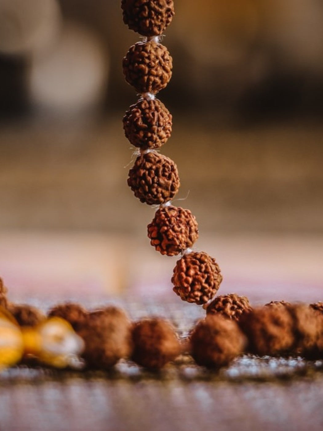 5 Mukhi Original Nepali Rudraksha Mala (Buy 1 Get 1 Free) + Free Gifts